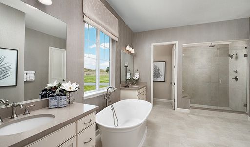 Kitchel Lake by Richmond American Homes in Timnath - photo 37 37