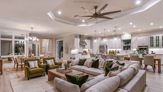 Esplanade at Artisan Lakes by Taylor Morrison in Palmetto - photo 74 74