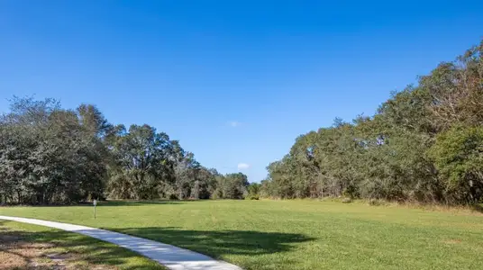 Oak Hammock Trail