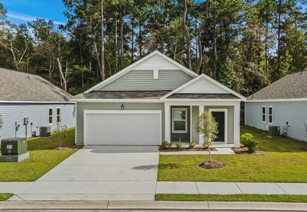 Bayview by Starlight Homes in Conway - image
