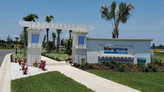 Mangrove Point by D.R. Horton in Apollo Beach - photo 0