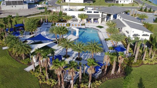 Elevated at Sonoma Resort by Park Square Residential in Kissimmee - image 12