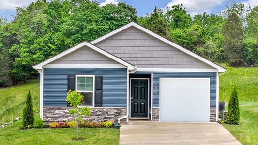 Clearwater Springs by D.R. Horton in Johnson City - image