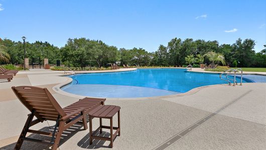 Lively Ranch Emerald by D.R. Horton in Georgetown - photo 77 77