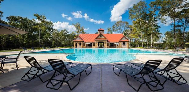 Tavola by Westin Homes in New Caney - photo 9 9