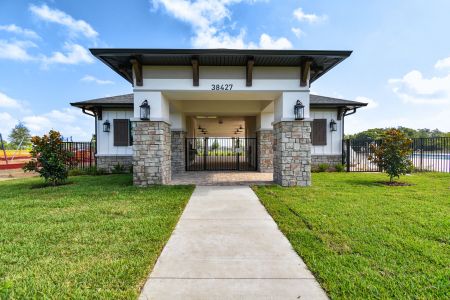 Hilltop Point by M/I Homes in Dade City - photo 15 15