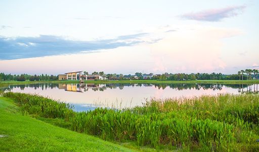 Waterset by Richmond American Homes in Apollo Beach - photo 13 13