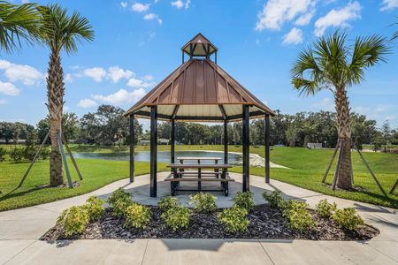 Harmony at Lake Eloise by D.R. Horton in Winter Haven - photo 7 7