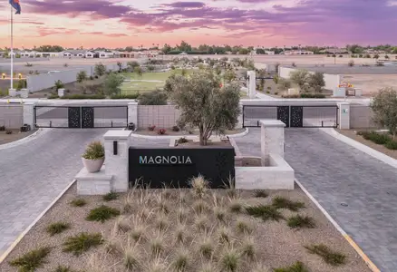 Symmetry at Magnolia by Shea Homes in Chandler - image