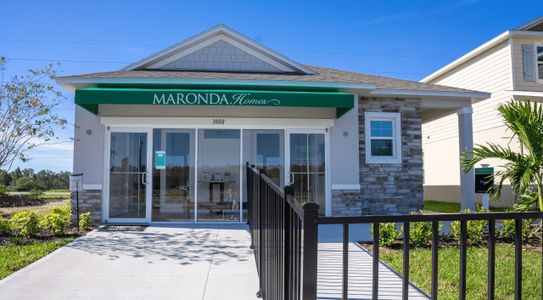 Harmony Central by Maronda Homes in St. Cloud - photo 2 2