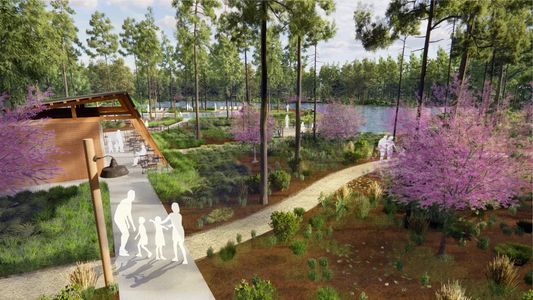 Two Step Farm Signature by Drees Custom Homes in Montgomery - image 13