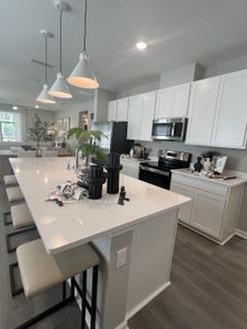 Irongate by Richmond American Homes in Jacksonville - photo 73 73