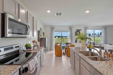 Oak Pointe by D.R. Horton in Apopka - photo 42 42