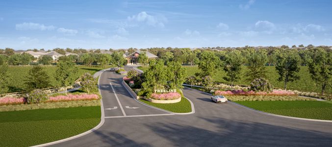 Treeline by Tri Pointe Homes in Justin - photo 0 0