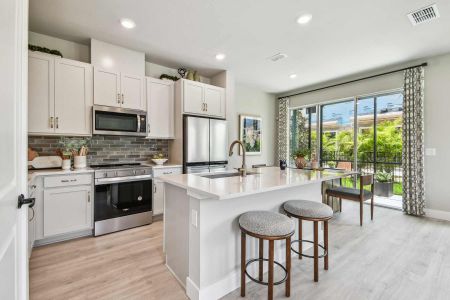 North River Ranch – Townhomes by David Weekley Homes in Parrish - image 7