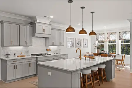 East & Mason by RobuckHomes in Wilmington - image 8