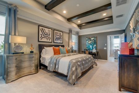 Epperson by M/I Homes in Wesley Chapel - photo 43 43