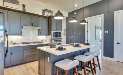 Carillon by Brightland Homes in Manor - photo 7 7