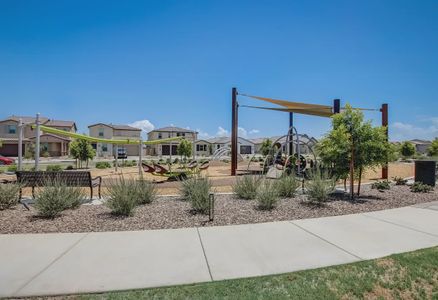 Ascent at Jorde Farms by Shea Homes in Queen Creek - photo 12 12