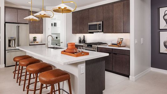 Saddleback Encore 5