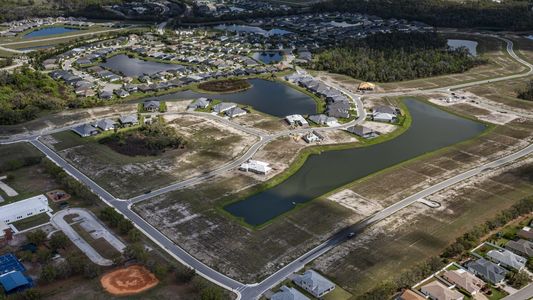 River Preserve Estates by William Ryan Homes in Parrish - image