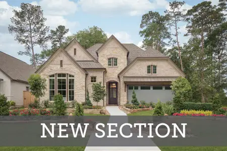 Grand Central Park 55' Homesites by David Weekley Homes in Conroe - photo 55 55