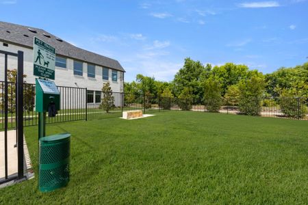 Chelsea Commons by Cadence Homes in Allen - image 7