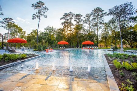 Grand Central Park by Highland Homes in Conroe - image 8