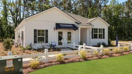 Pineview North by D.R. Horton in Summerville - photo 0