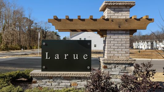 Larue by DRB Homes in Wendell - photo 4 4