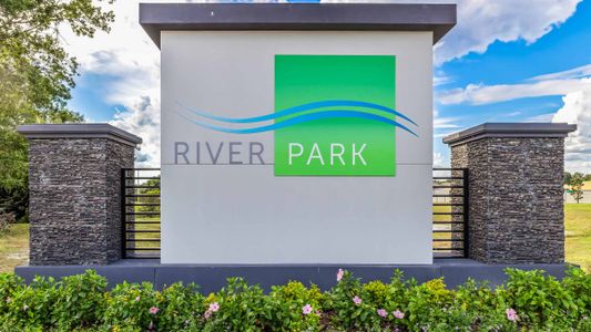 River Park by D.R. Horton in Temple Terrace - photo