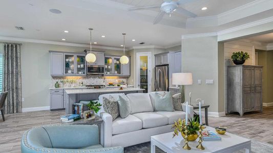 Vicenza by Neal Communities in Nokomis - image 6