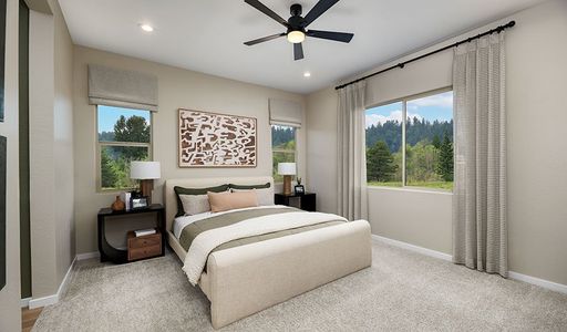 Peakview at Ascent Village by Richmond American Homes in Littleton - photo 18 18