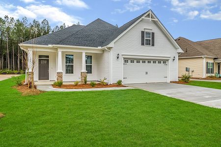 Lochton by Mungo Homes in Summerville - photo 7 7