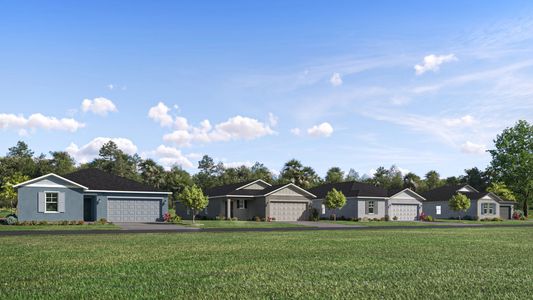 Citrus Springs by Lennar in Dunnellon - image