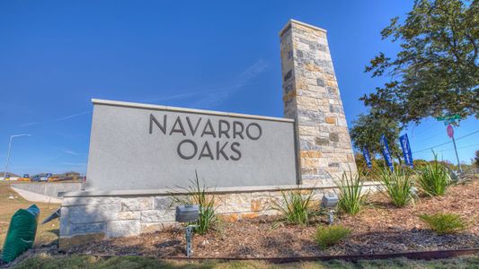 Navarro Oaks by D.R. Horton in Seguin - photo 42 42