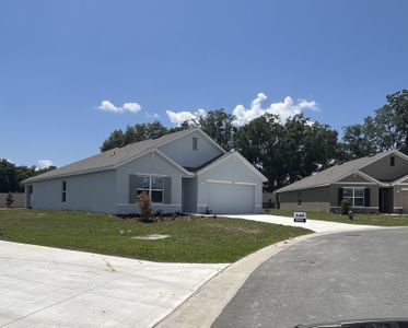 Sunset Hills by D.R. Horton in Summerfield - photo 13 13