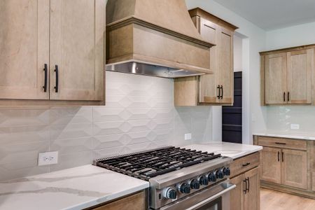 Harmon Springs by Trademark Quality Homes in Carrollton - image 18