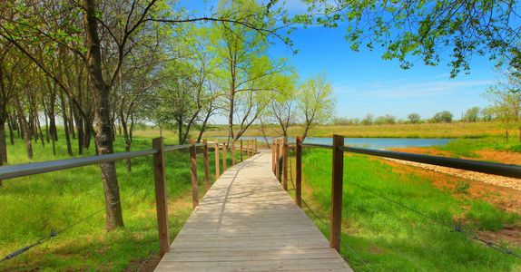 Union Park by Bloomfield Homes in Krugerville - image 18