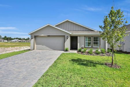 Lakewood Park by Dream Finders Homes in Deland - photo 10 10