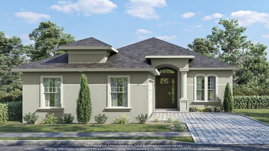 Coastal Gardens at Town Center by Paytas Homes in Palm Coast - photo 9 9