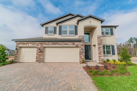 Shortgrass At Two Rivers by M/I Homes in Zephyrhills - photo 5 5