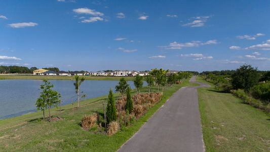 Harmony at Lake Eloise by Casa Fresca Homes in Winter Haven - photo 10 10