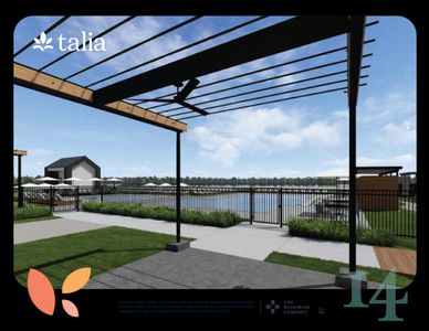 Talia by Cadence Homes in Mesquite - image 3