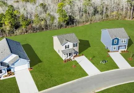 Andalusia by Starlight Homes in Loris - image