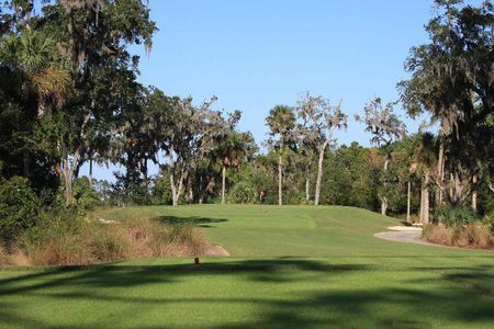 Hammock Dunes by Bellagio Custom Homes in Palm Coast - photo 21 21