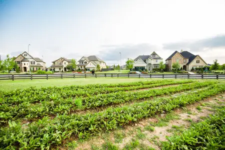 Harvest Green 65' by David Weekley Homes in Richmond - image 2