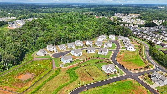 Maddox Landing by UnionMain Homes in Hoschton - image 11