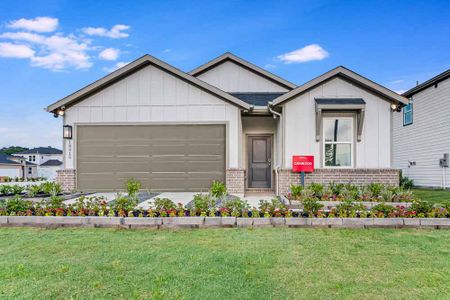 Newport Grove 50s by Taylor Morrison in Crosby - image 1