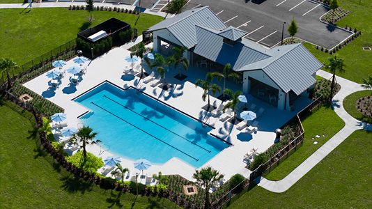 Coasterra by David Weekley Homes in Palmetto - image 4